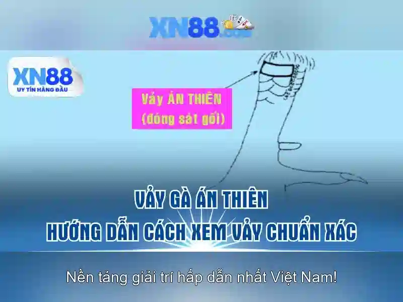Nền tảng và trò chơi hỗ trợ
