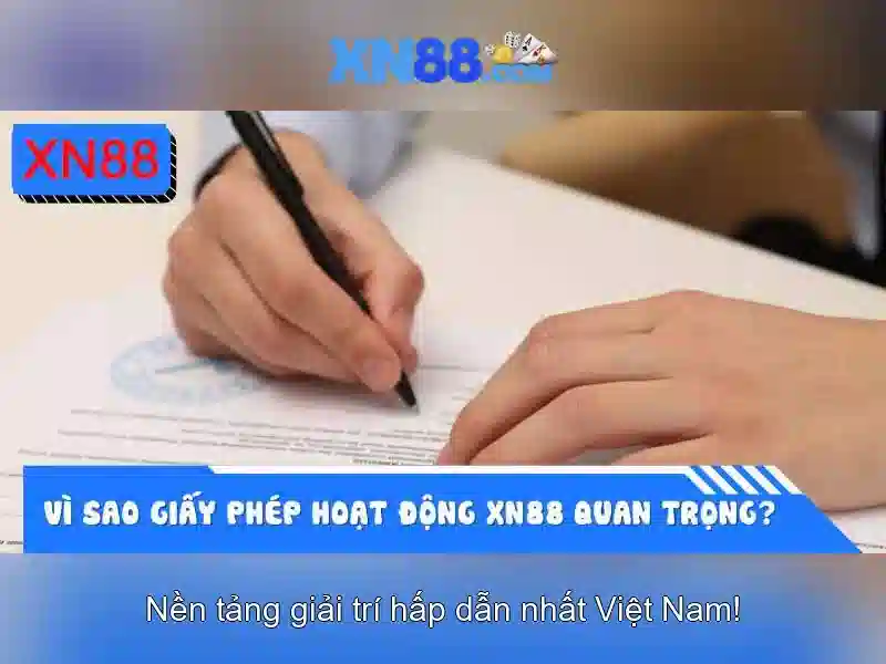 An toàn và hỗ trợ người chơi