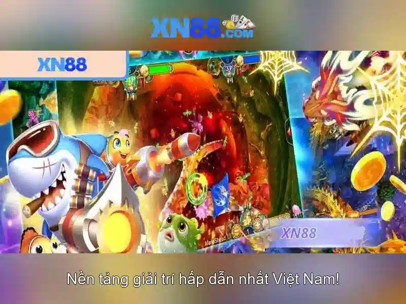 Hỗ trợ người dùng và trải nghiệm
