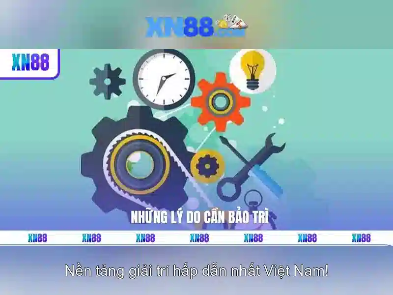 Bài viết 1