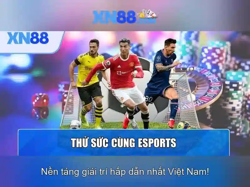 Tổng quan về xn88