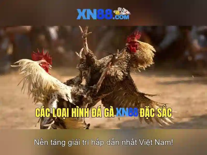 Các sản phẩm và dịch vụ cốt lõi của tool xn88