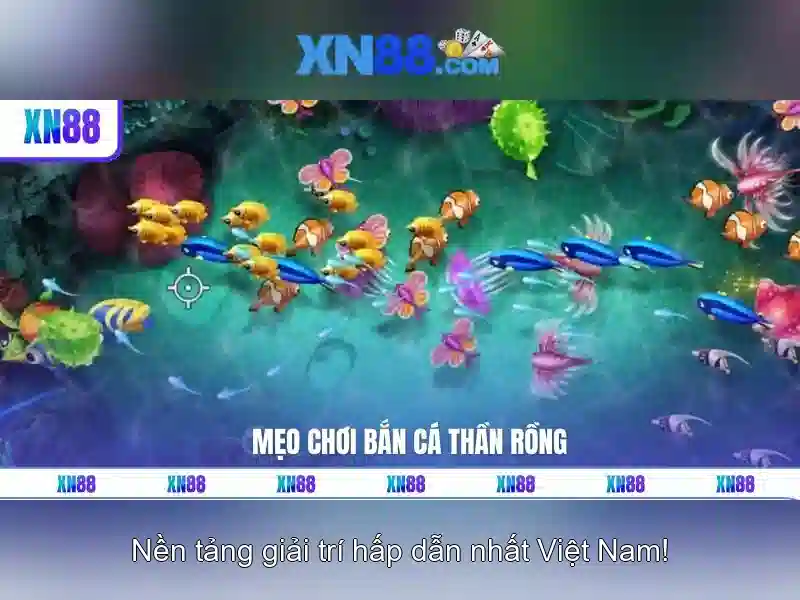 Tính năng và trò chơi