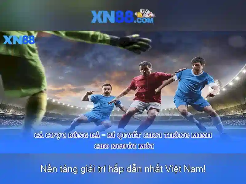 Giới thiệu về xn88